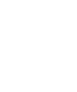 logo_blanco-alea